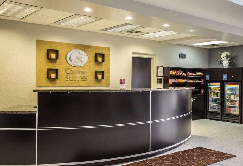 فندق Comfort Suites