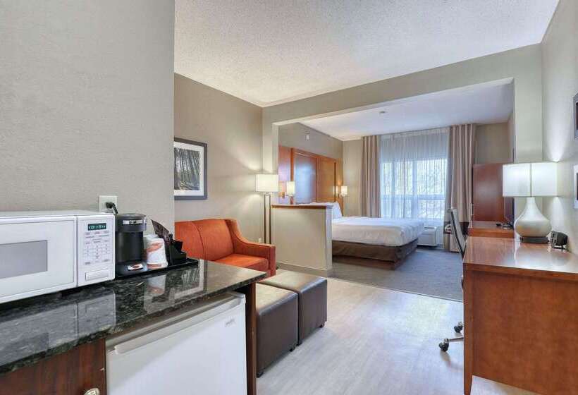 Отель Comfort Suites Madison West