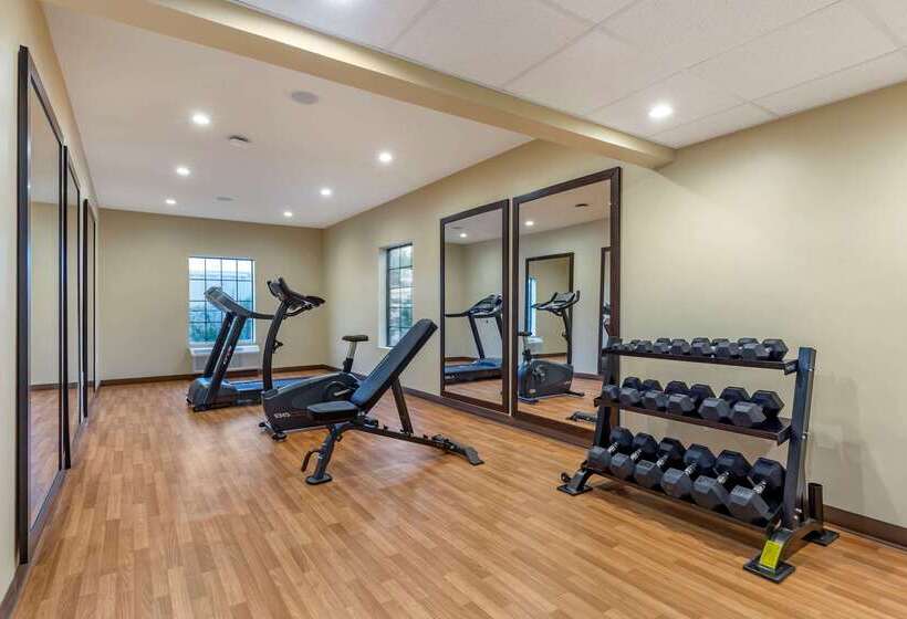 فندق Comfort Suites Near Camp Lejeune