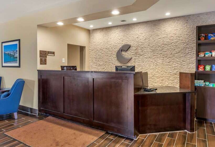 فندق Comfort Suites Near Camp Lejeune