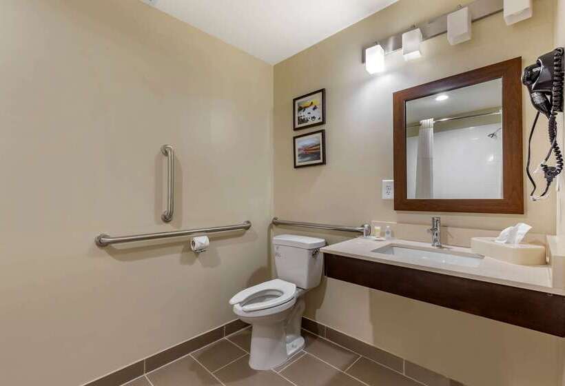 فندق Comfort Suites Near Camp Lejeune