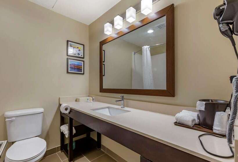 فندق Comfort Suites Near Camp Lejeune