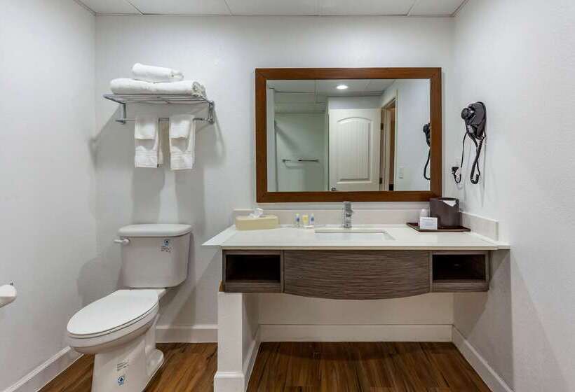 فندق Comfort Suites Near Camp Lejeune