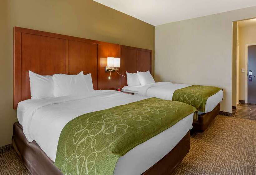 فندق Comfort Suites Near Camp Lejeune