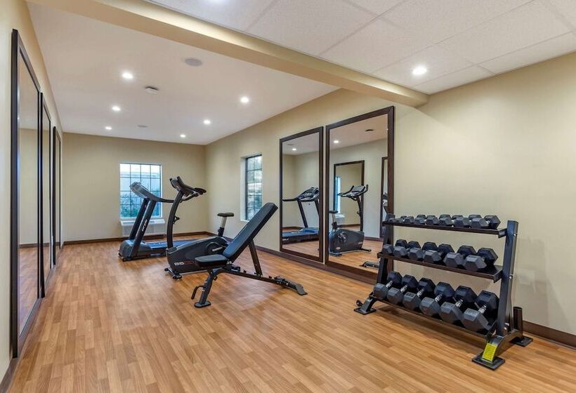 فندق Comfort Suites Near Camp Lejeune