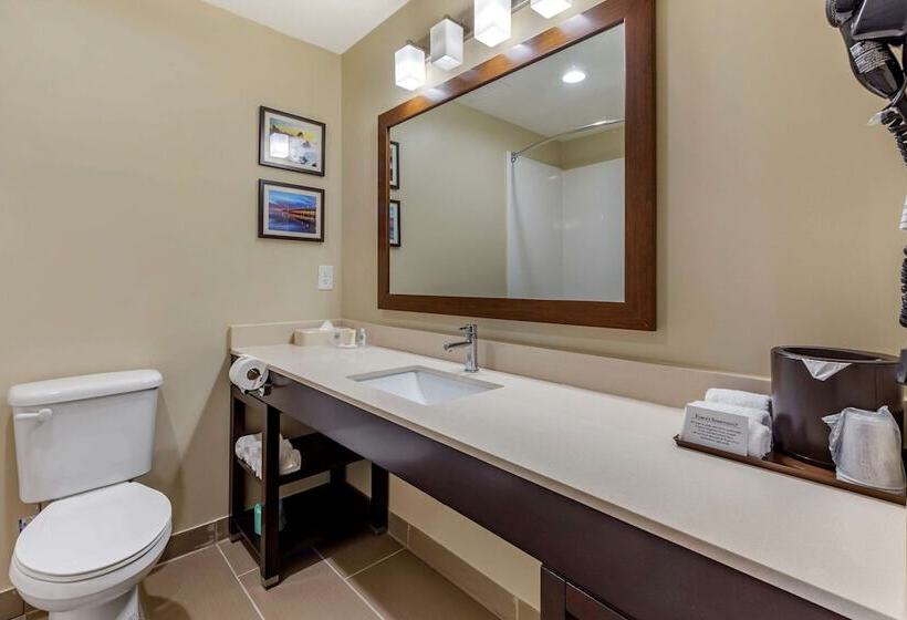 هتل Comfort Suites Near Camp Lejeune