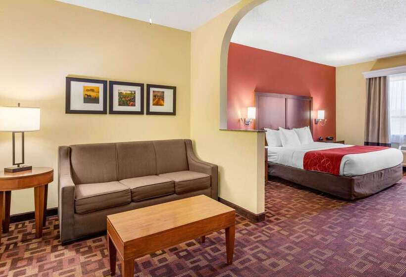 호텔 Comfort Suites Near The Galleria