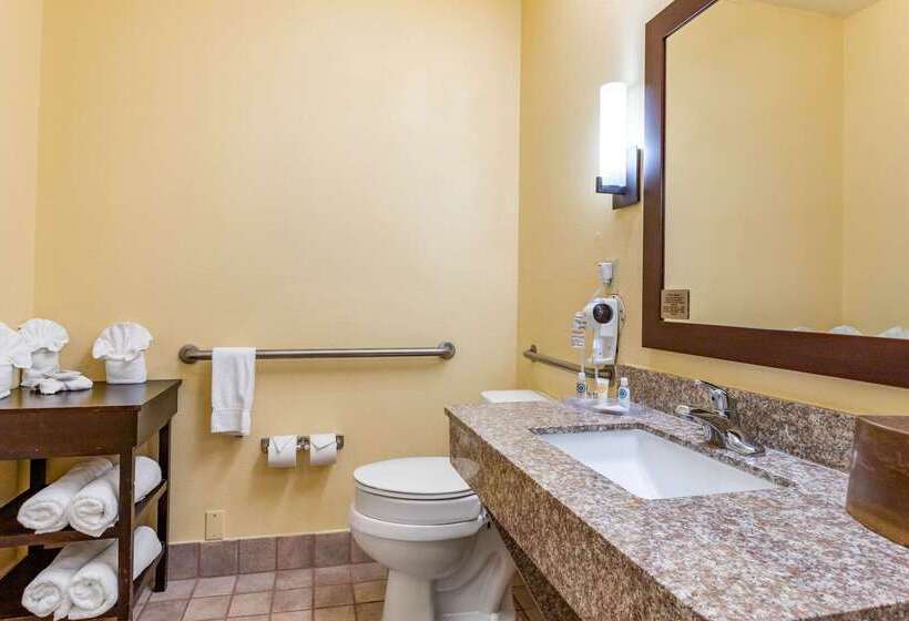 호텔 Comfort Suites Near The Galleria