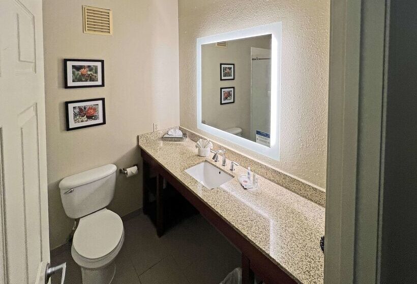 Отель Comfort Suites Peoria Sports Complex