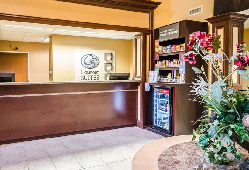 בית מלון כפרי Comfort Suites Prestonsburg West