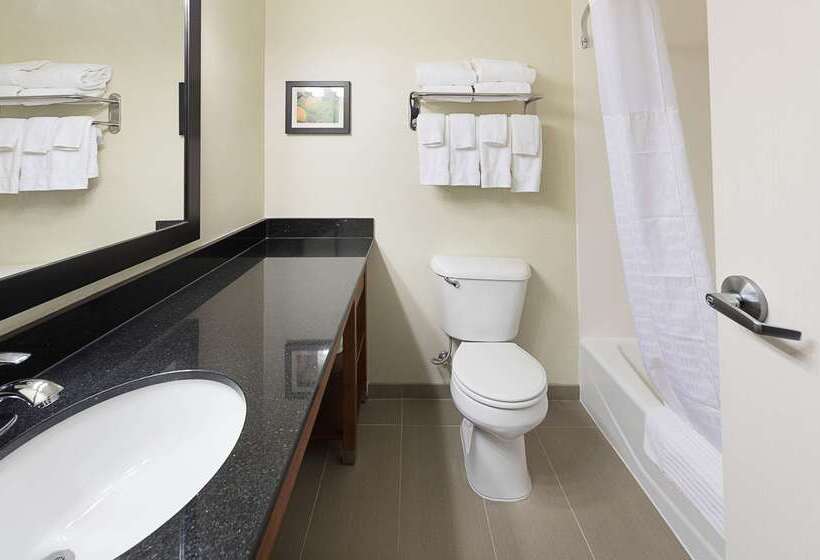 فندق Comfort Suites Saginaw