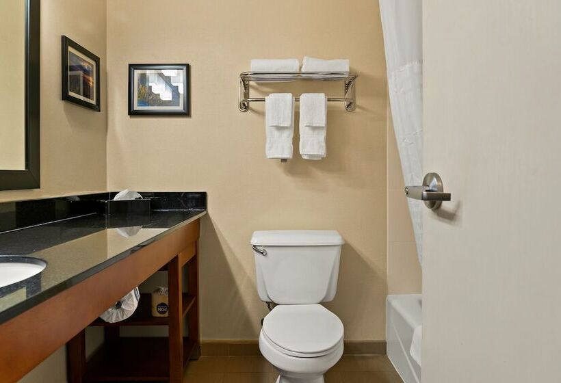 فندق Comfort Suites Saginaw