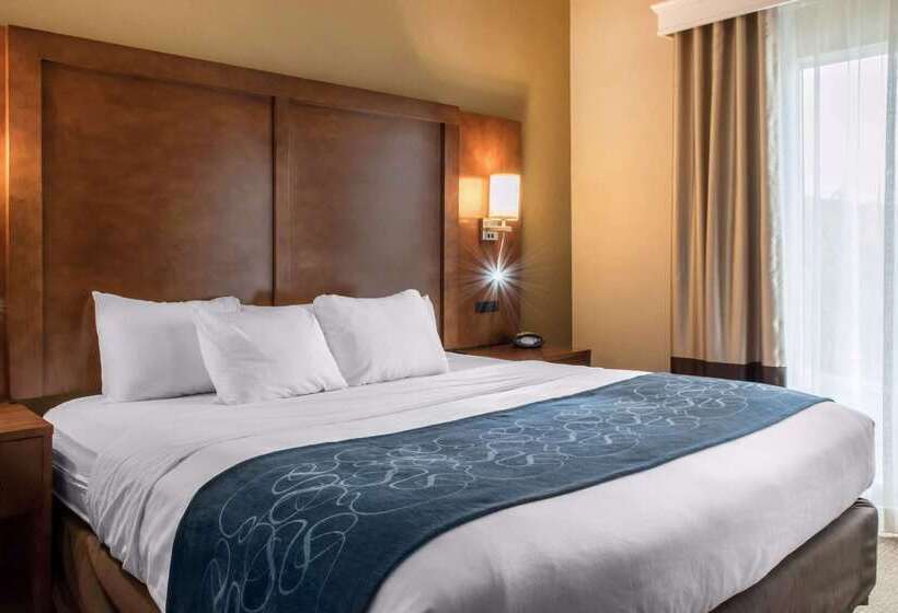 هتل Comfort Suites Scranton Near Montage Mountain