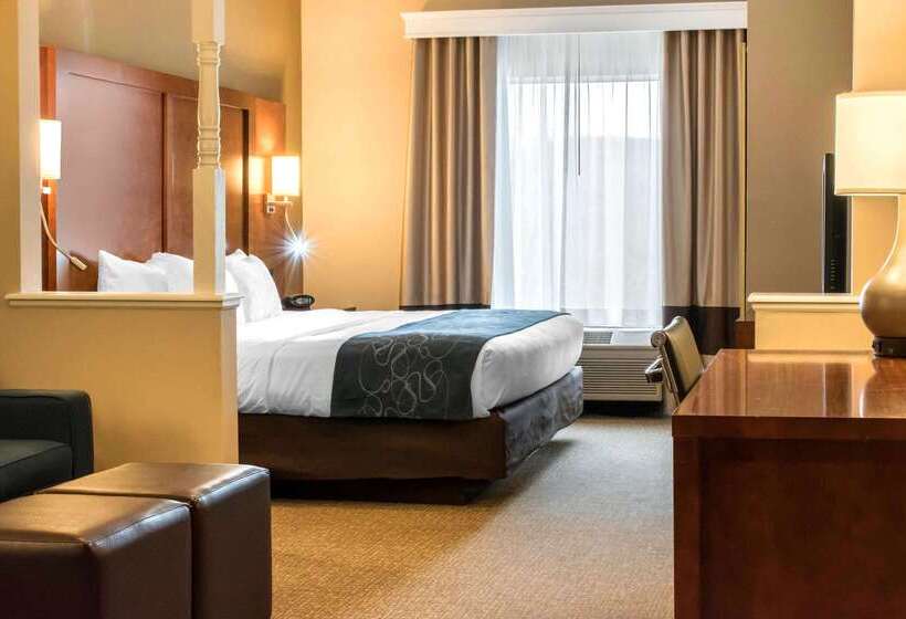 هتل Comfort Suites Scranton Near Montage Mountain