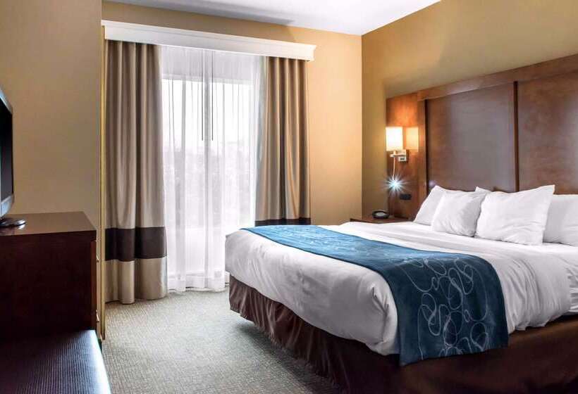 هتل Comfort Suites Scranton Near Montage Mountain