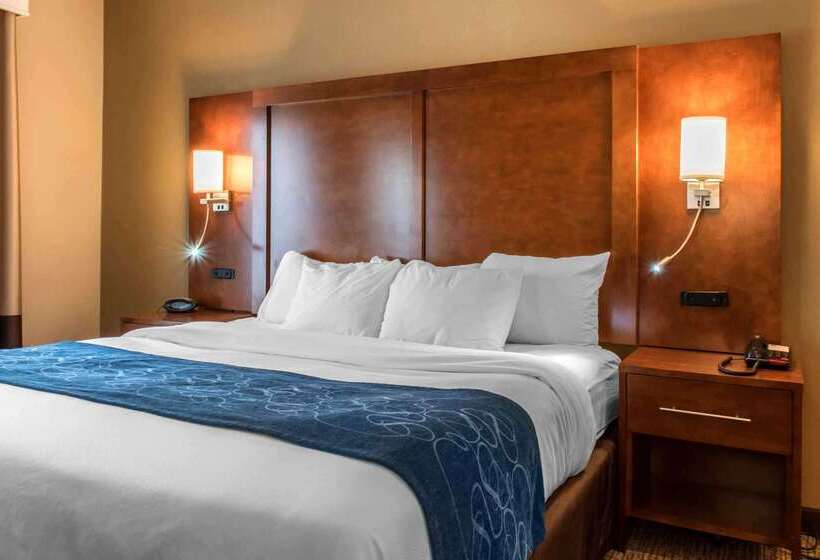 هتل Comfort Suites Scranton Near Montage Mountain