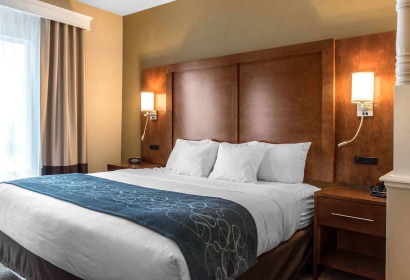 هتل Comfort Suites Scranton Near Montage Mountain