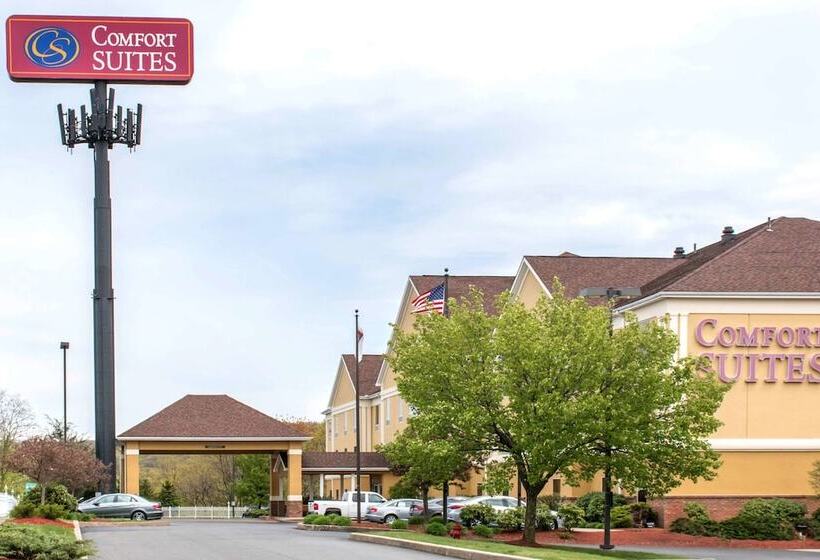 هتل Comfort Suites Scranton Near Montage Mountain