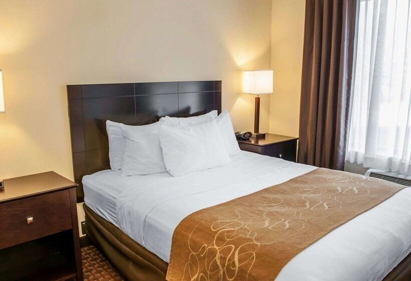 هتل Comfort Suites Fort Wayne   Southwest