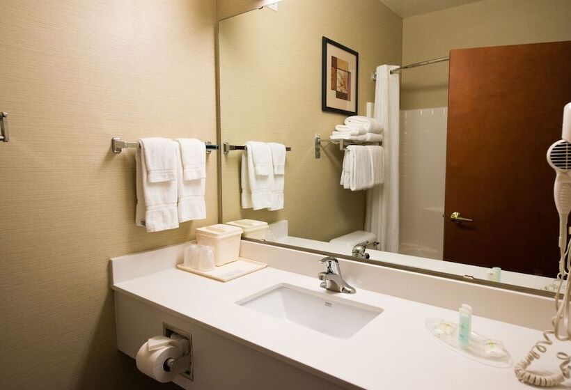 فندق Comfort Suites Springfield Riverbend Medical