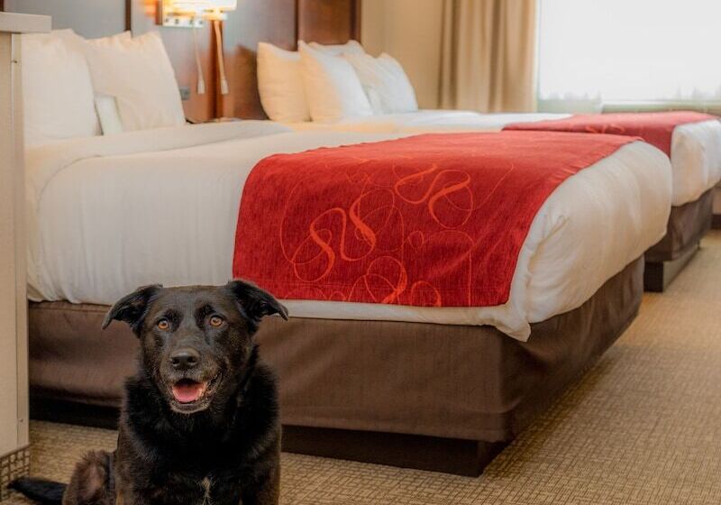 فندق Comfort Suites Springfield Riverbend Medical