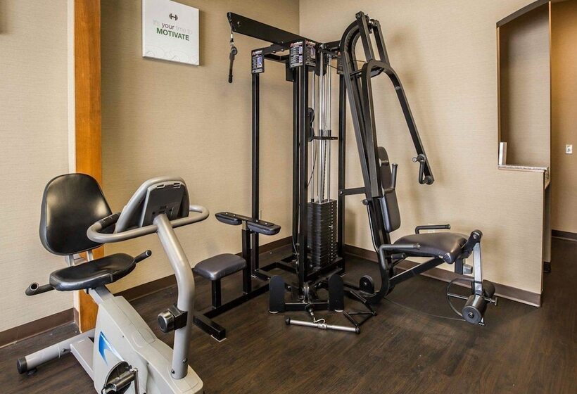 호텔 Comfort Suites Stafford Near Sugarland