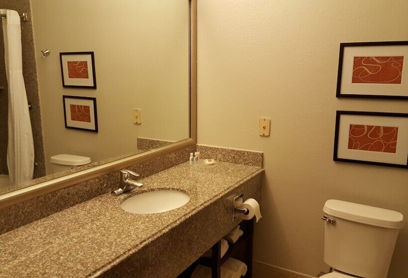 호텔 Comfort Suites Stafford Near Sugarland