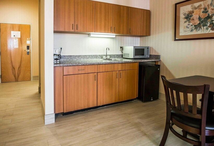 호텔 Comfort Suites Stafford Near Sugarland