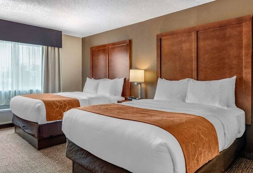 호텔 Comfort Suites Terre Haute University Area