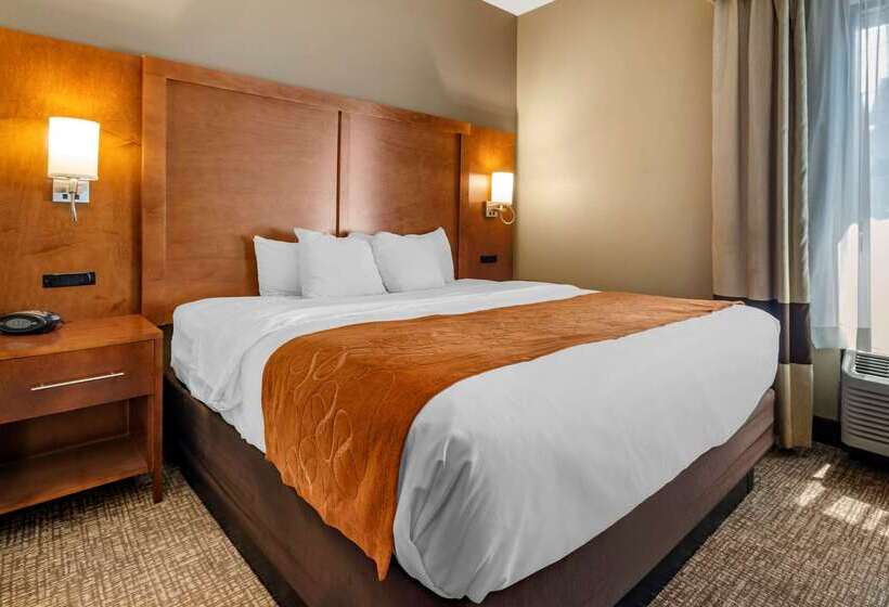 Отель Comfort Suites Bethlehem Near Lehigh University And Lvi Airport