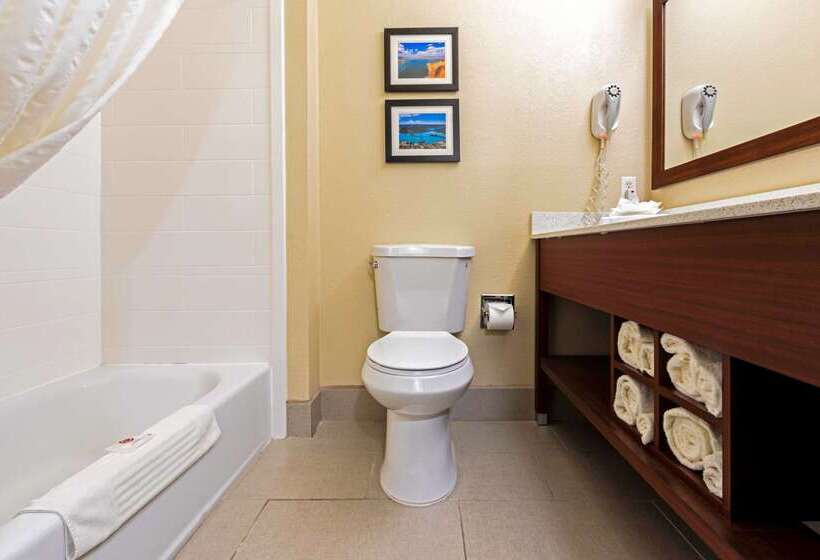 Отель Comfort Suites University