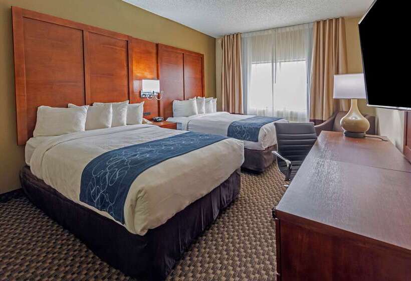 Отель Comfort Suites University