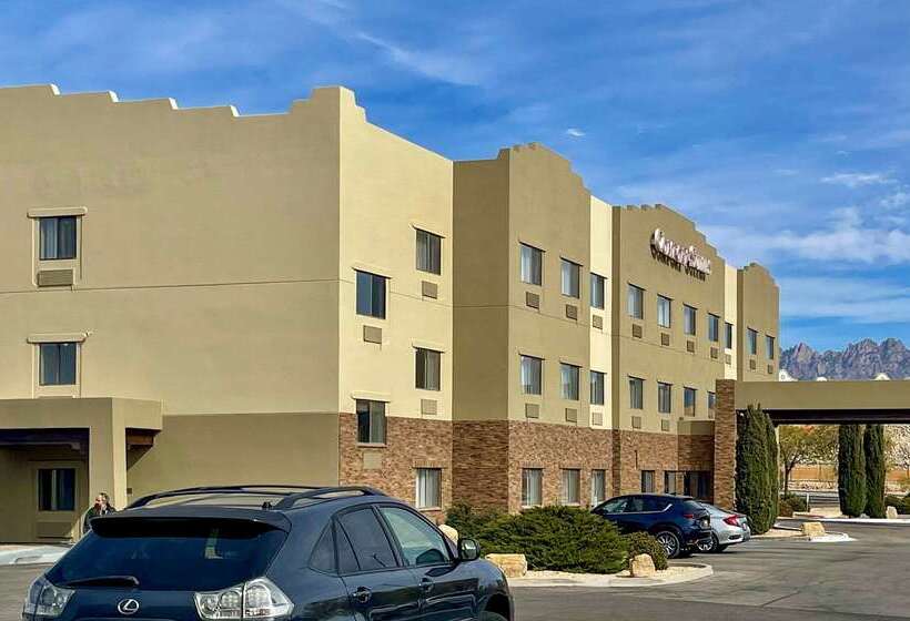 Отель Comfort Suites University