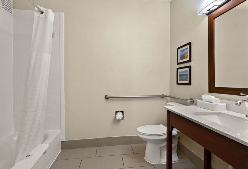 Отель Comfort Suites University