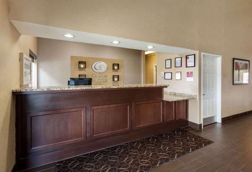 ホテル Comfort Suites Lincoln North