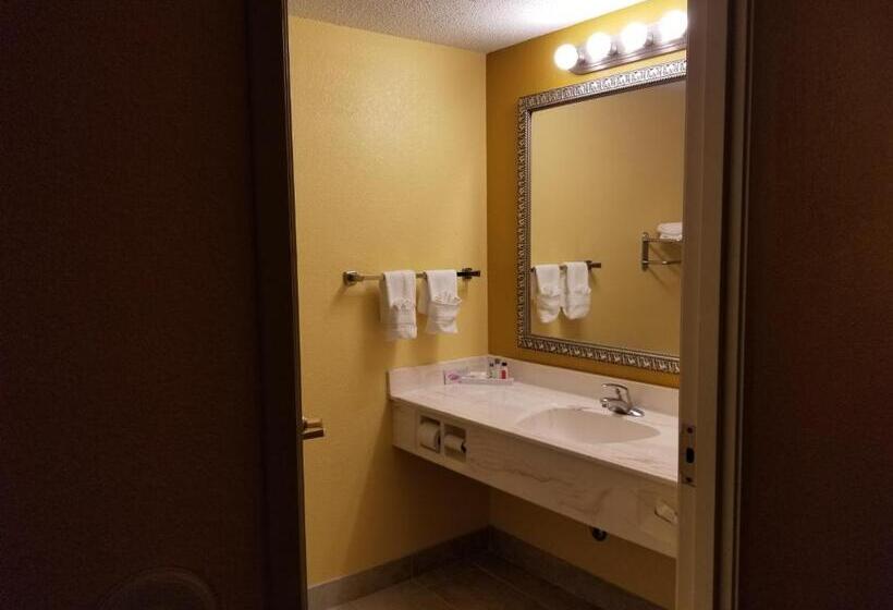 Отель Comstock Inn & Conference Center