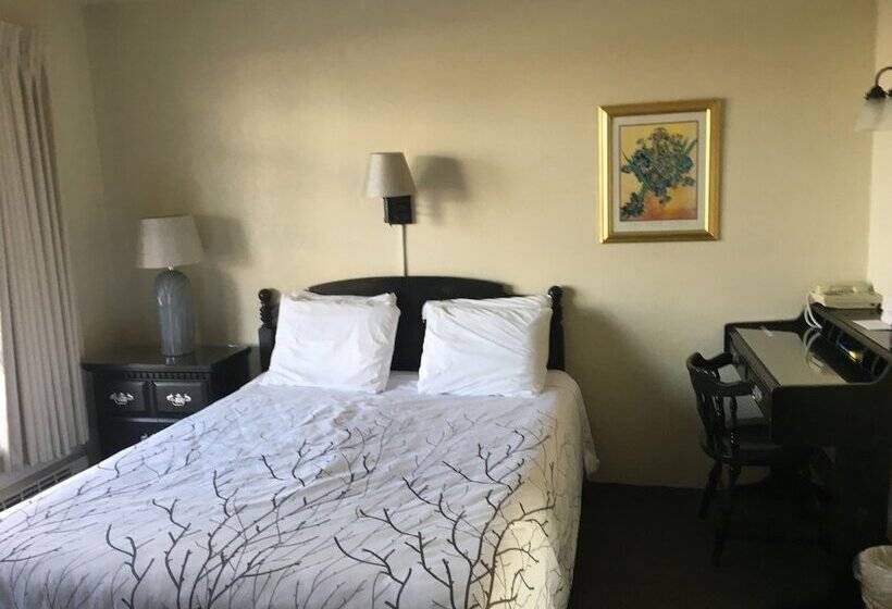 酒店 Continental Inn