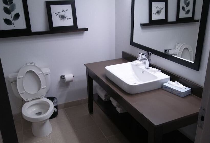 فندق Country Inn & Suites By Radisson, Roanoke, Va