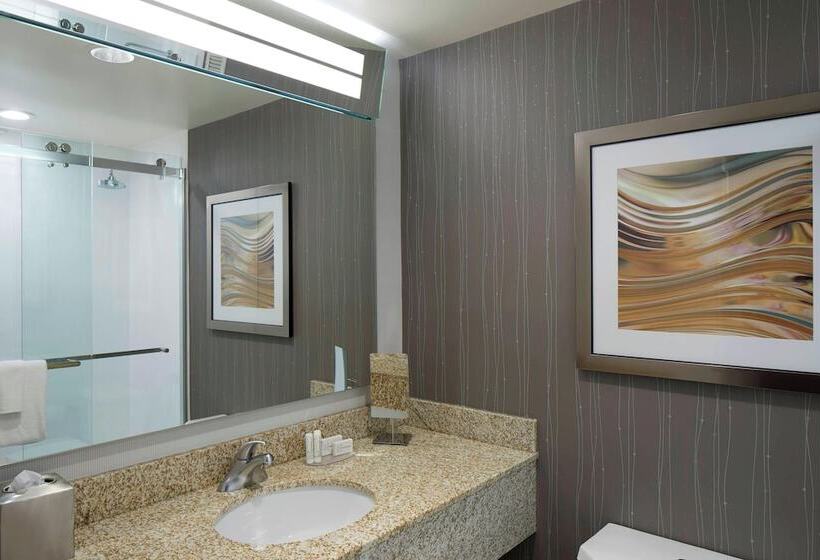 בית מלון כפרי Courtyard By Marriott Albany Thruway