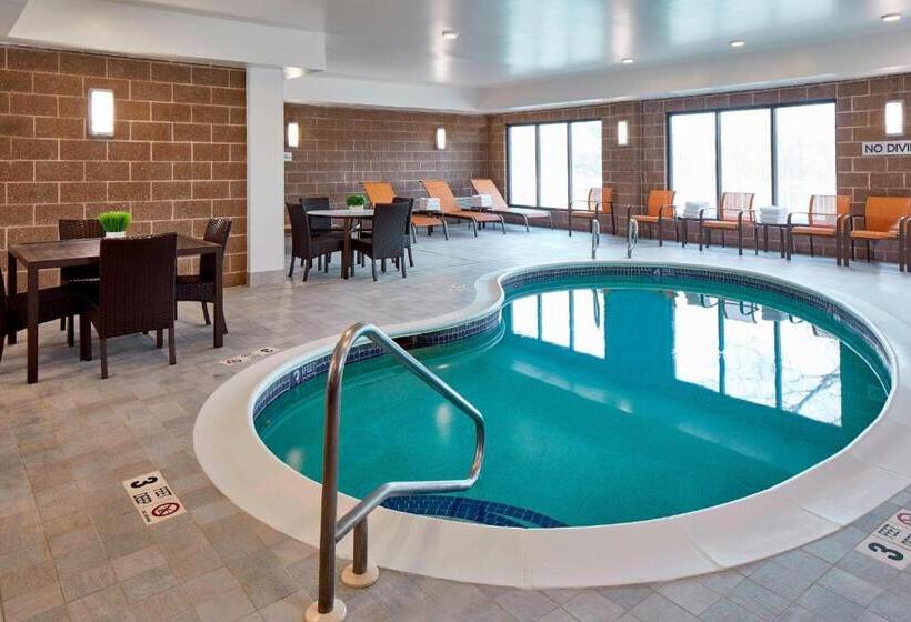 בית מלון כפרי Courtyard By Marriott Albany Thruway