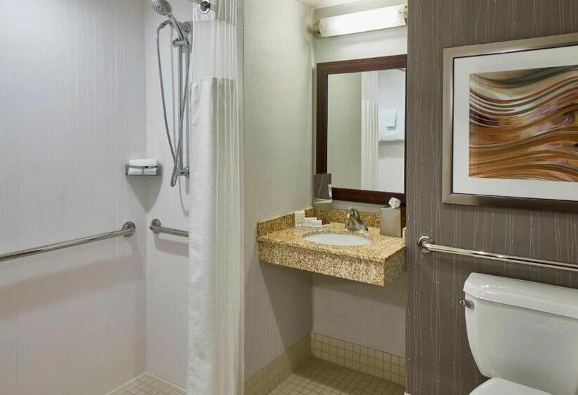 בית מלון כפרי Courtyard By Marriott Albany Thruway