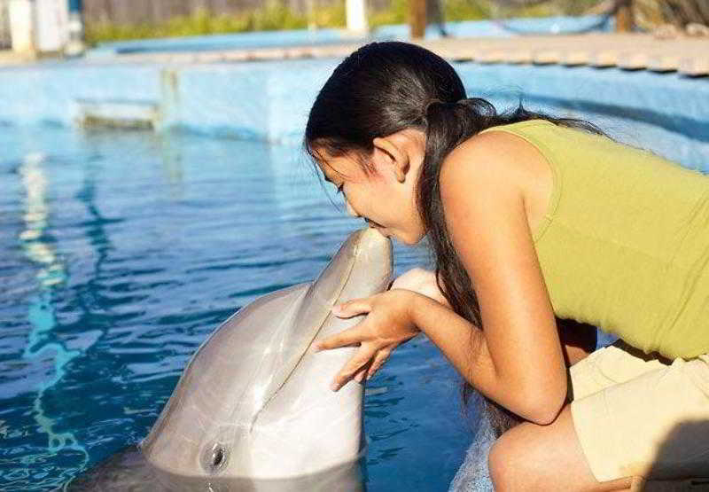 호텔 Courtyard By Marriott Vacaville