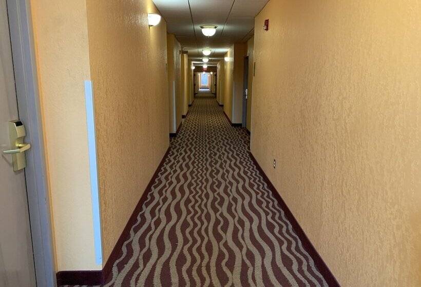 בית מלון כפרי Days Inn & Suites By Wyndham Albany