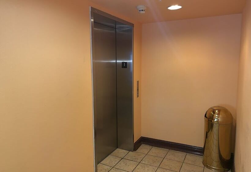 בית מלון כפרי Days Inn & Suites By Wyndham Albany