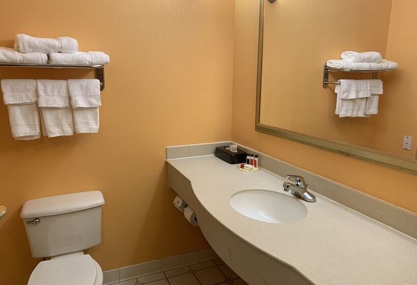 בית מלון כפרי Days Inn & Suites By Wyndham Albany