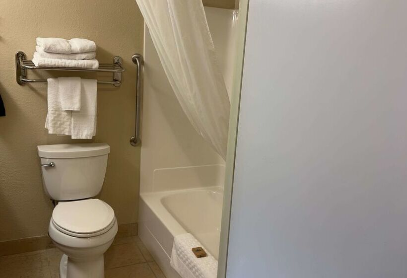 هتل Duluth Inn & Suites Near Spirit Mountain