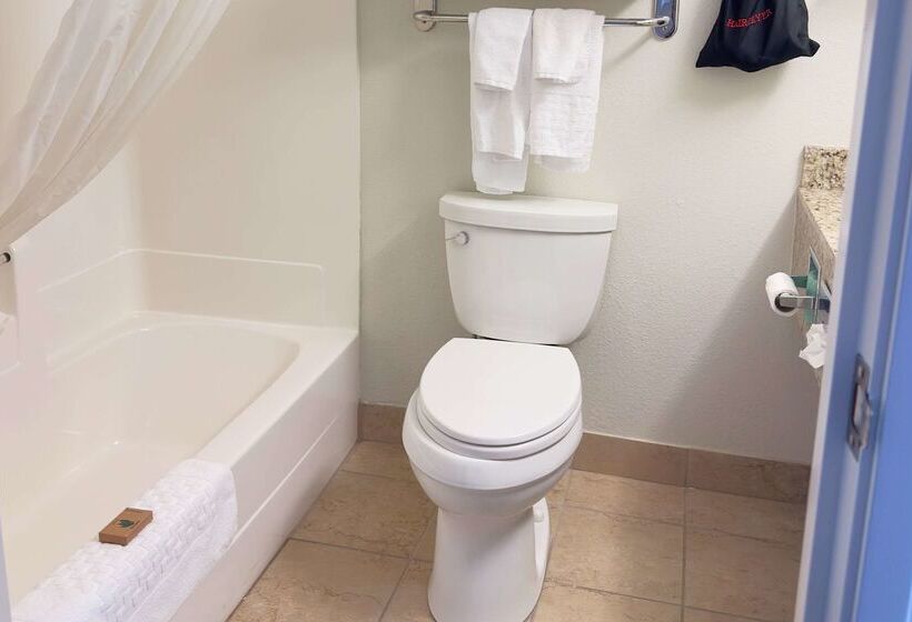 酒店 Duluth Inn & Suites Near Spirit Mountain