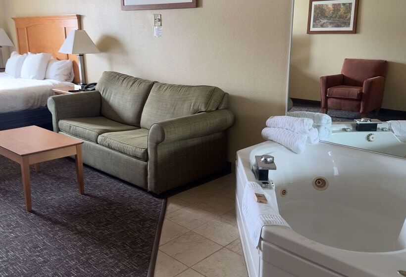 酒店 Duluth Inn & Suites Near Spirit Mountain