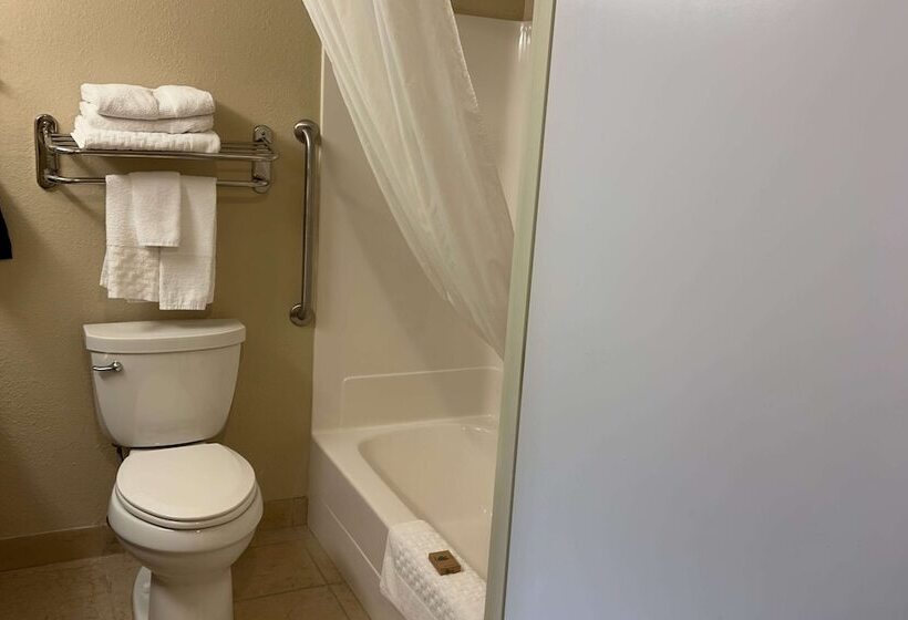 酒店 Duluth Inn & Suites Near Spirit Mountain