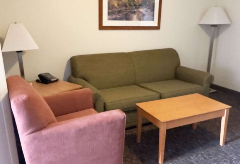 酒店 Duluth Inn & Suites Near Spirit Mountain